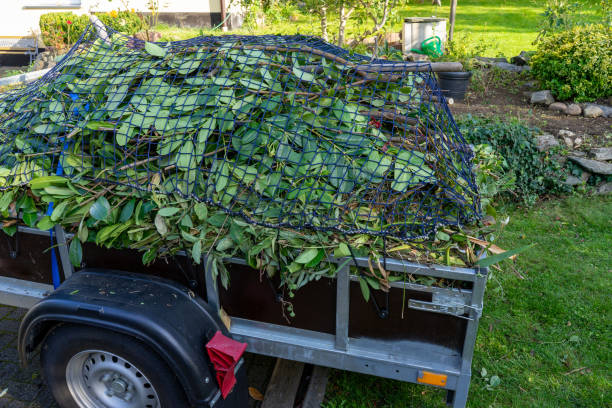 Best Dumpster Rental Services  in Hillsboro, WI